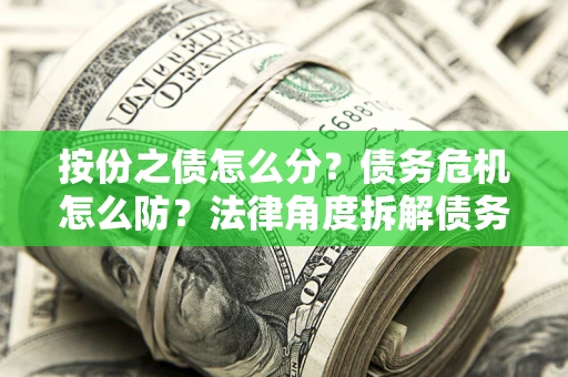 武汉按份之债怎么分？债务危机怎么防？法律角度拆解债务分配与风险自保指南