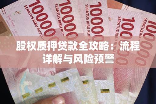 武汉股权质押贷款全攻略：流程详解与风险预警