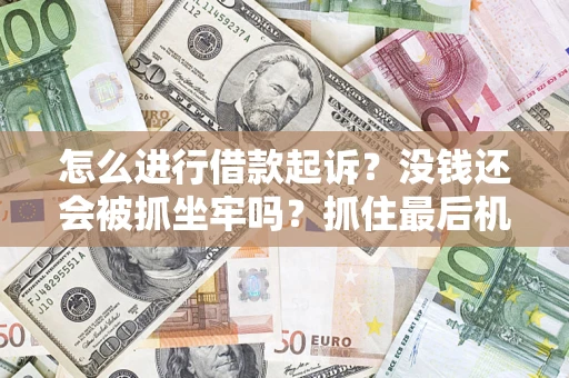 武汉怎么进行借款起诉？没钱还会被抓坐牢吗？抓住最后机会！