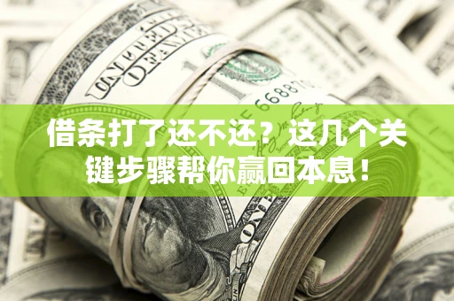 武汉借条打了还不还？这几个关键步骤帮你赢回本息！