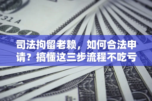 武汉司法拘留老赖，如何合法申请？搞懂这三步流程不吃亏！