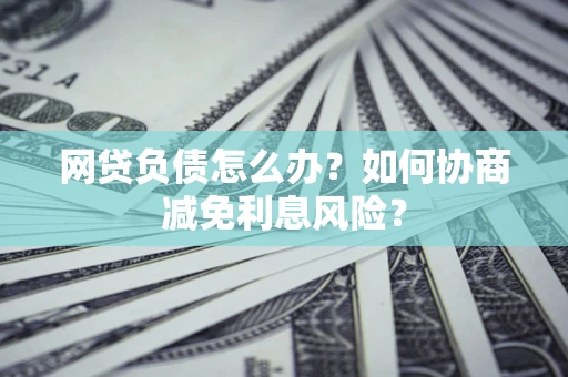 武汉网贷负债怎么办？如何协商减免利息风险？