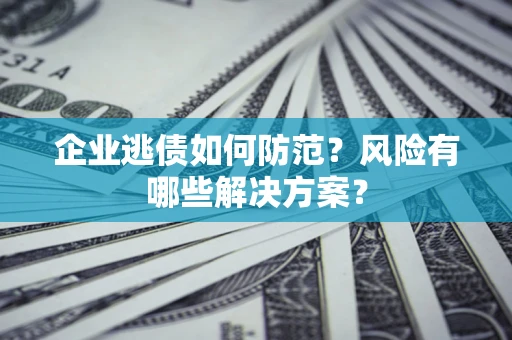 武汉企业逃债如何防范？风险有哪些解决方案？