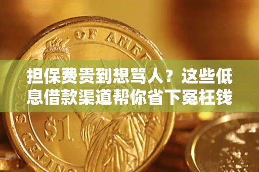 武汉担保费贵到想骂人？这些低息借款渠道帮你省下冤枉钱