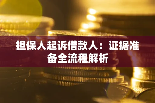 武汉担保人起诉借款人：证据准备全流程解析