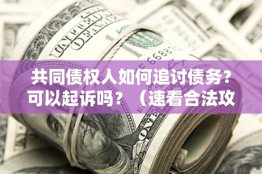 武汉共同债权人如何追讨债务？可以起诉吗？（速看合法攻略）