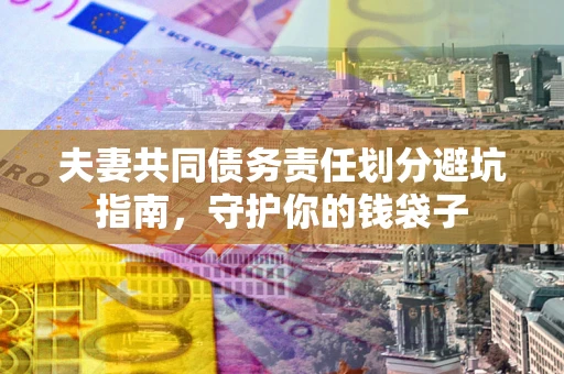 武汉夫妻共同债务责任划分避坑指南，守护你的钱袋子