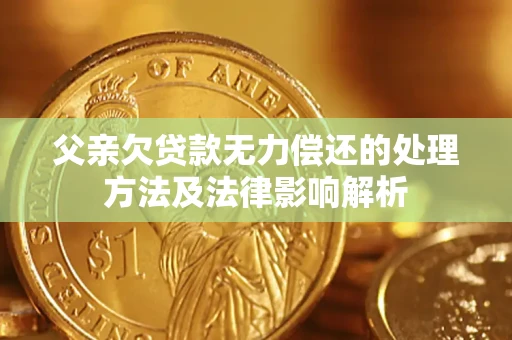 武汉父亲欠贷款无力偿还的处理方法及法律影响解析