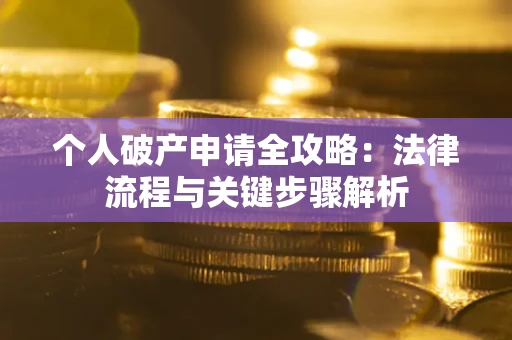 武汉个人破产申请全攻略：法律流程与关键步骤解析