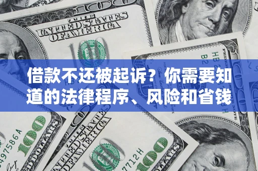 武汉借款不还被起诉？你需要知道的法律程序、风险和省钱技巧