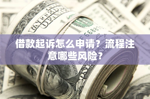 武汉借款起诉怎么申请？流程注意哪些风险？